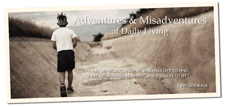 Adventures & Misadventures of Daily Living