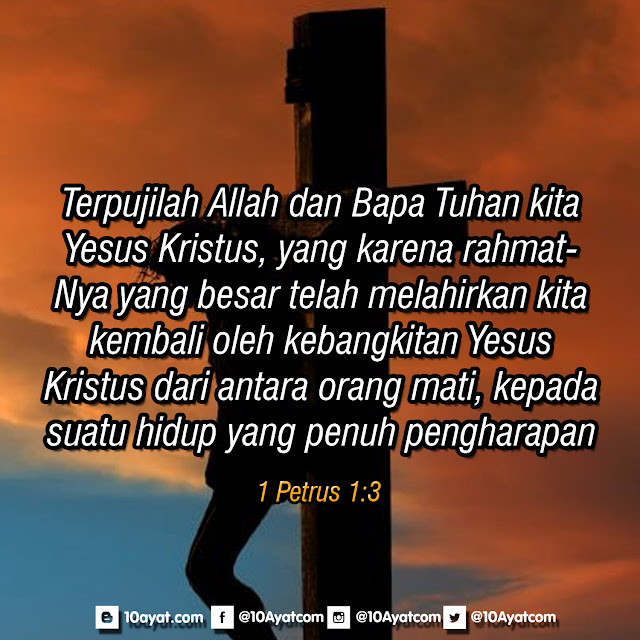 1%2BPetrus%2B1 3