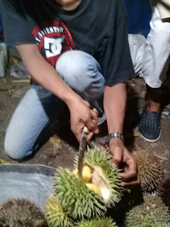 ini bagian dalam buah marawin durian marawin dari kalimantan