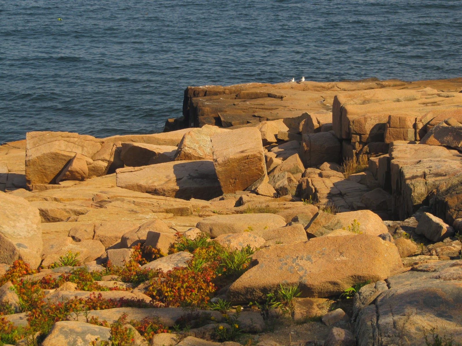 Malomil Mount Desert Island, Maine o refúgio de Yourcenar.