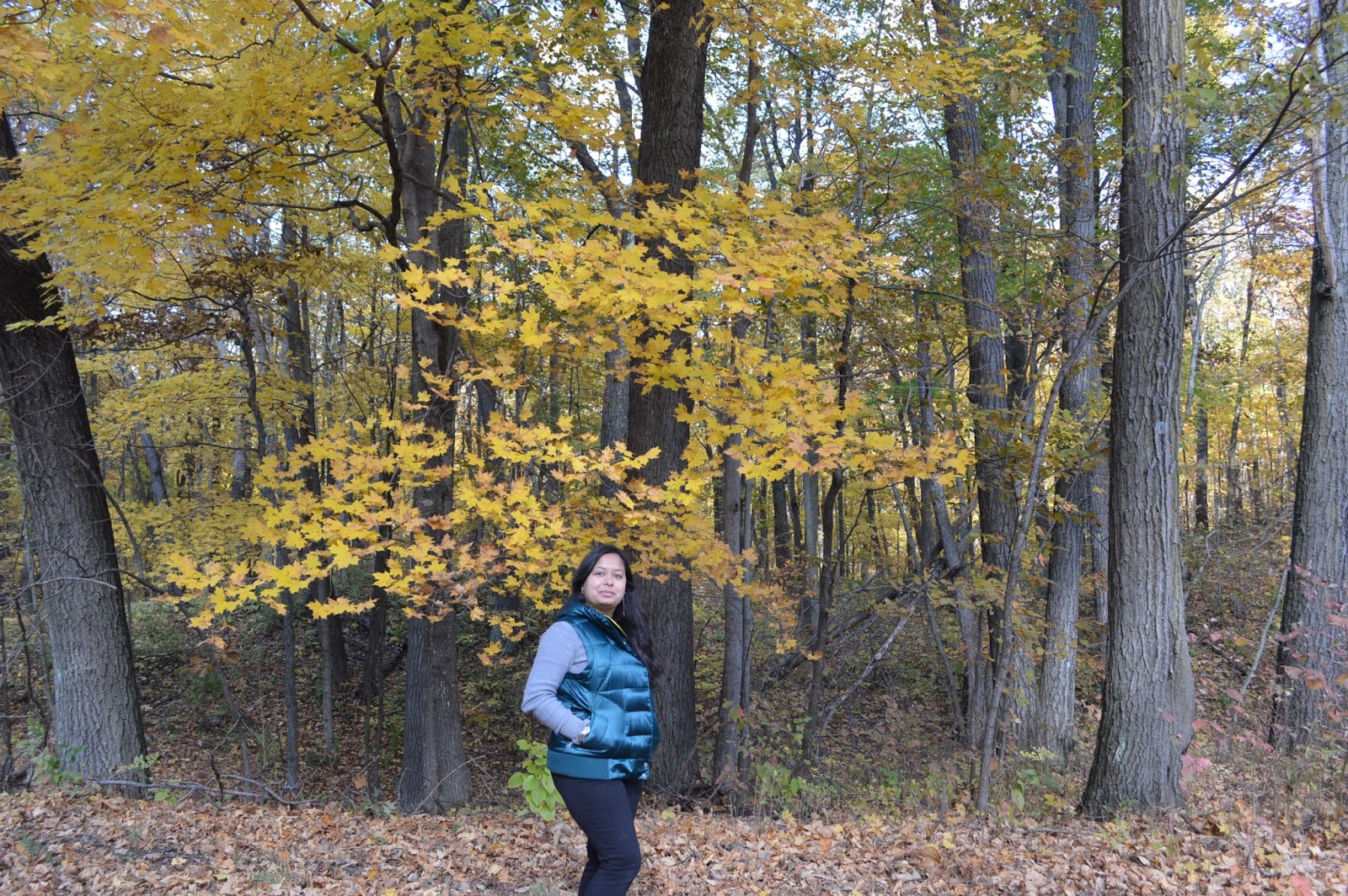 Kettle moraine scenic drive