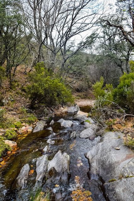 EL BLOG DE ÁNGEL J. ROJAS Y A.S.J. VÍDEO Arroyo del Chorro (Parque