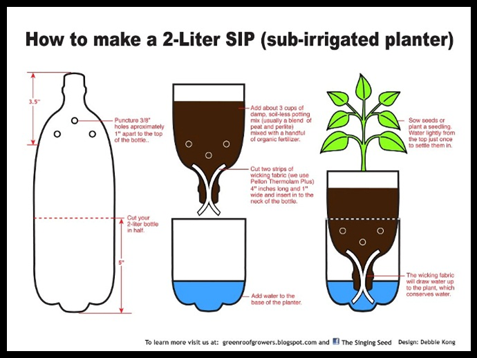 English Corner Natural Science 5º Self watering recycled bottle planters