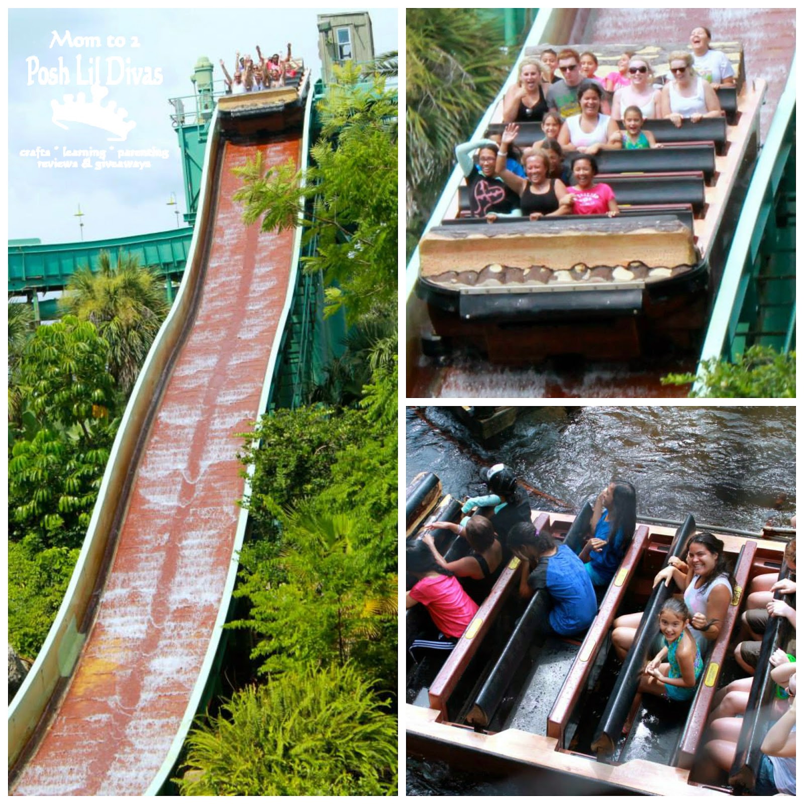 Mom to 2 Posh Lil Divas Family Friendly Fun at Busch Gardens Tampa Mom to 2 Posh Lil Divas Family Friendly Fun at Busch Gardens Tampa