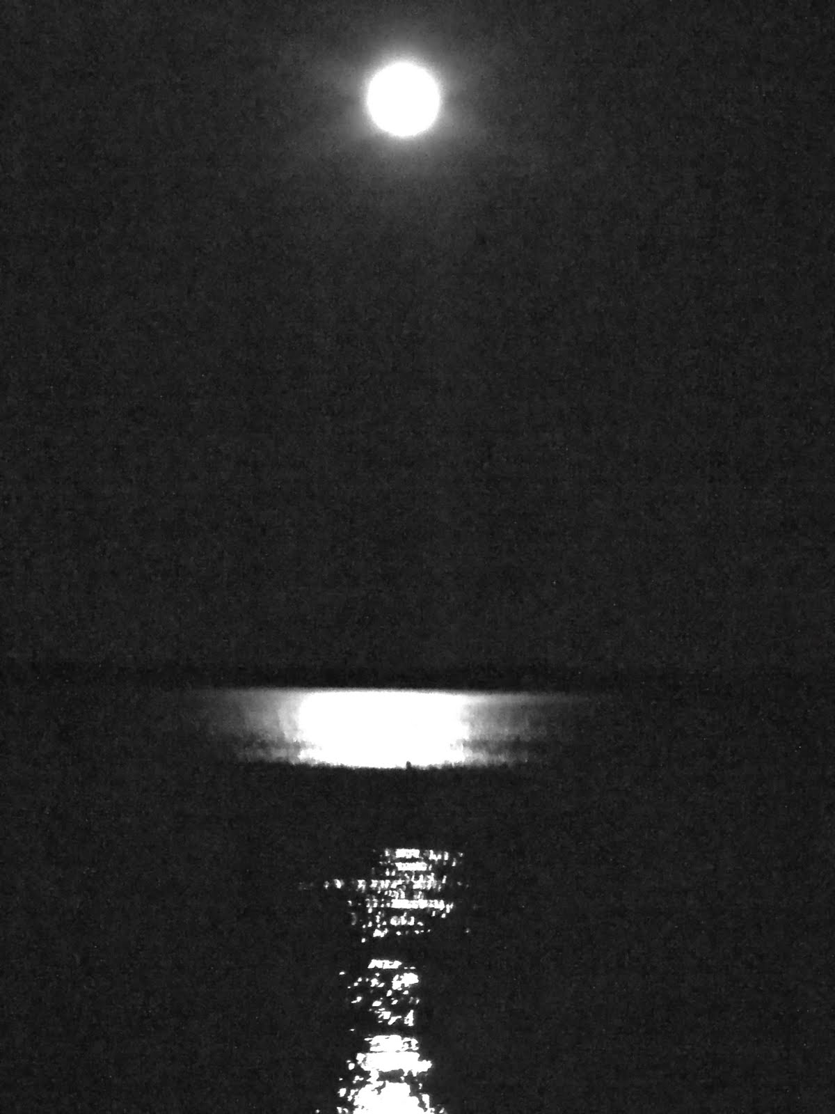 edie-monroe-through-the-looking-lens