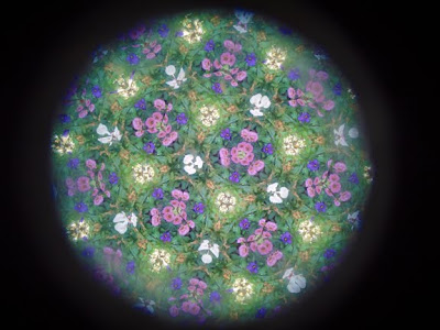 kaleidoscope purple flowers
