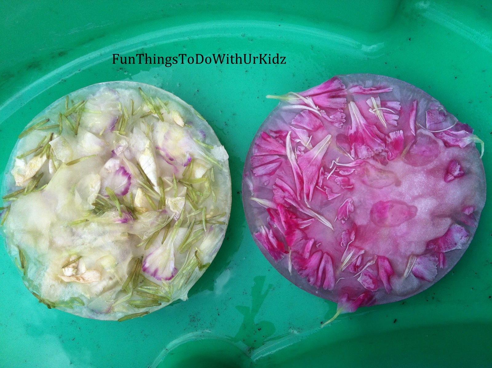 Frozen flower ice play