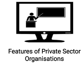Features of private sector organisations