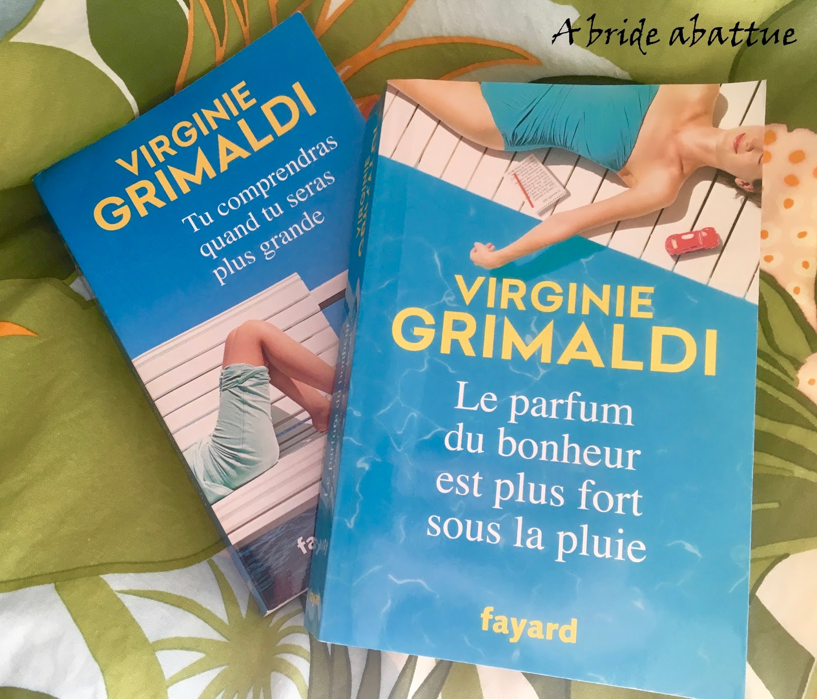 A bride abattue Le parfum du bonheur est plus fort sous la pluie de Virginie Grimaldi A bride abattue Le parfum du bonheur est plus fort sous la pluie de Virginie Grimaldi