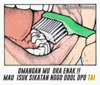 Gambar lucu Bahasa Jawa 10