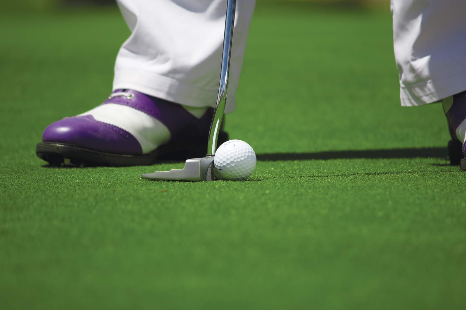 golf-for-beginners-is-winning-or-losing-in-golf-in-the-putting
