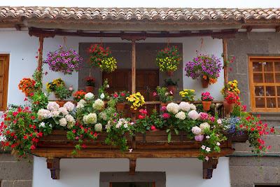Fachada de una casa con muchas flores de colores