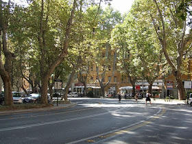 The tree-line Via Vittorio Veneto in Rome