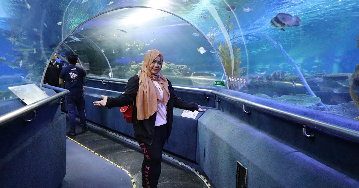 Jenis Ikan Di Aquaria Klcc shoot for the moon quote in spanish