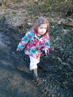 muddy walk