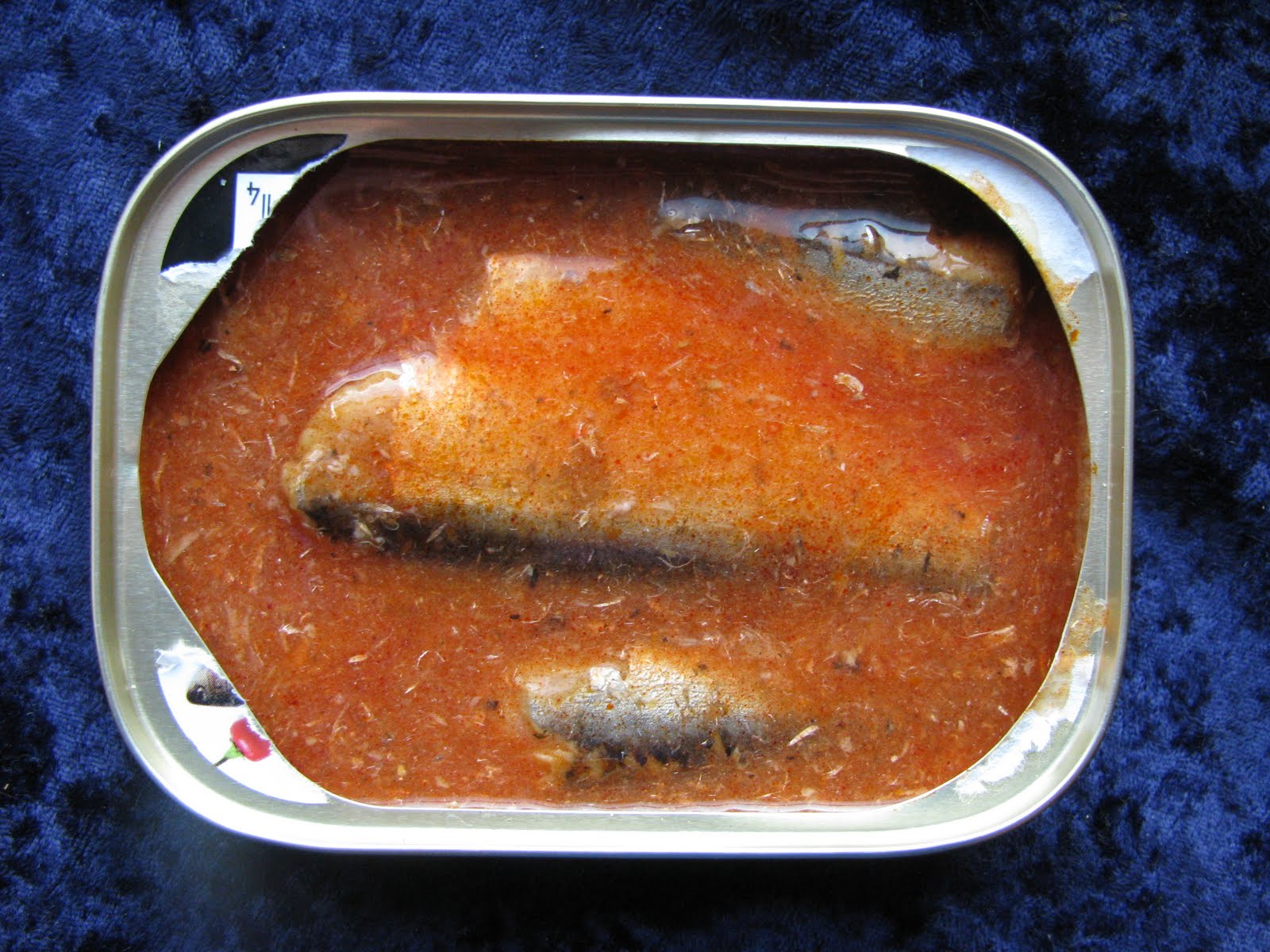 Mouth Full of Sardines Deep Cove 7