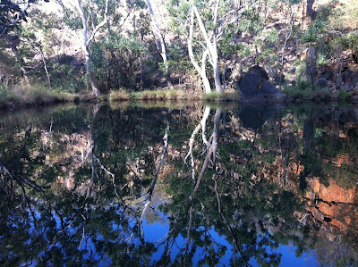 Photo of Bell Gorge with reflections.