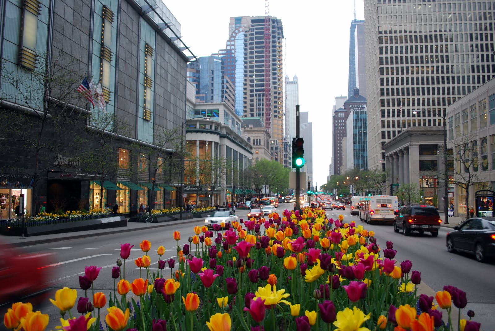 Street of flowers. Великолепная миля Чикаго. Великолепная миля Чикаго фото. Растения Чикаго.