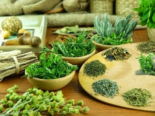 những bài thuốc chữa viêm xoang bằng đông y những bài thuốc chữa viêm xoang bằng đông y
