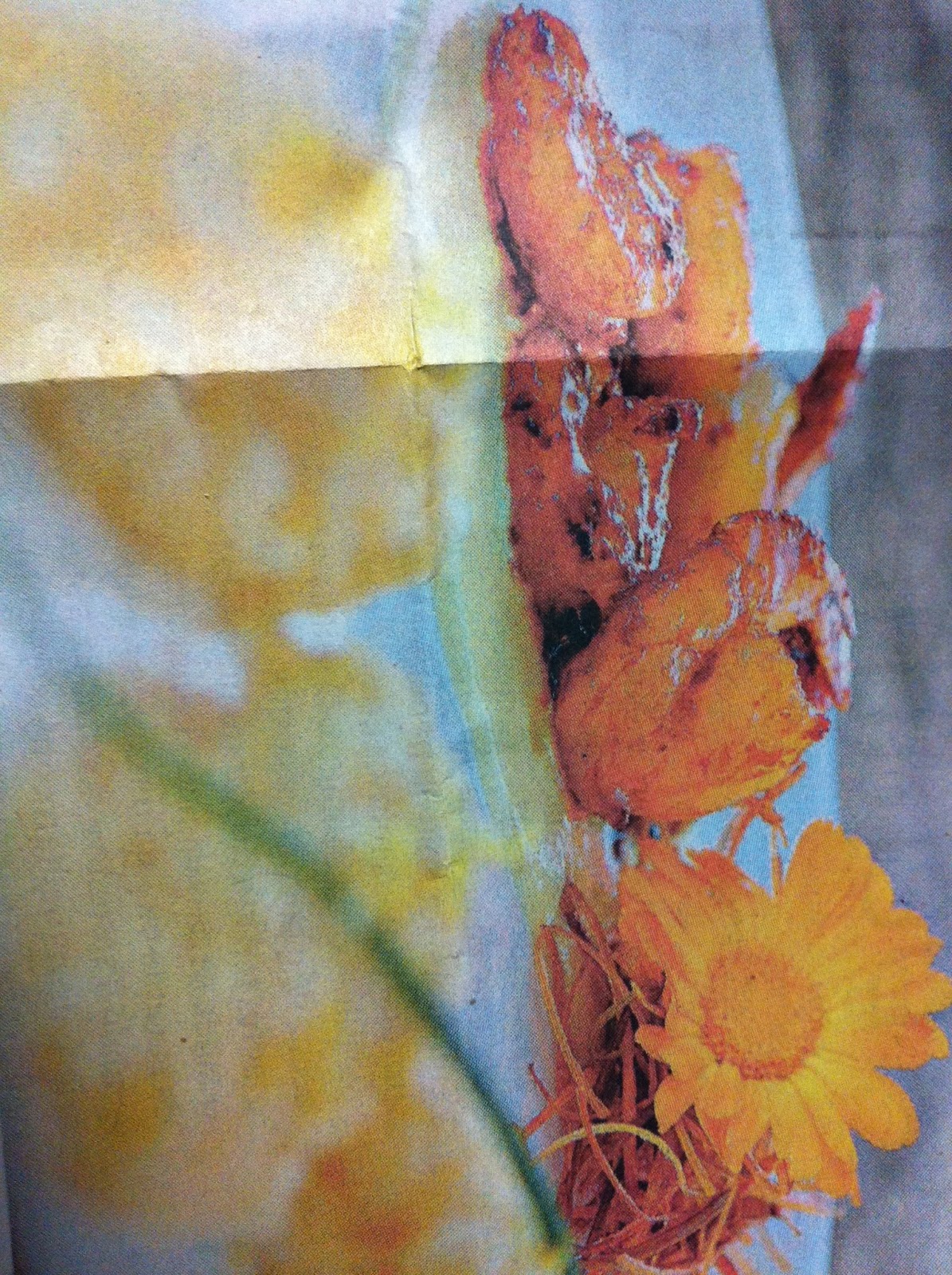 Cozinha Especial por Camila Cordeiro CAMARÕES AO MEL EM CAMA DE CREME