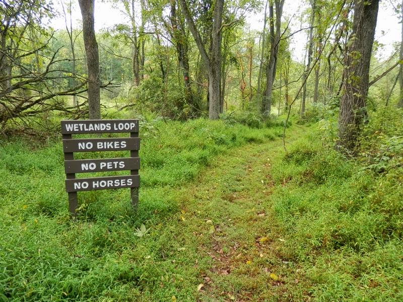 Southeastern PA Hiking Peace Valley Park