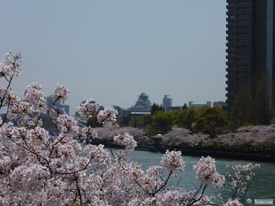 大阪城と桜 大阪城と桜