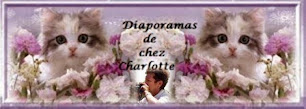 Diapos de mon amie Charlotte