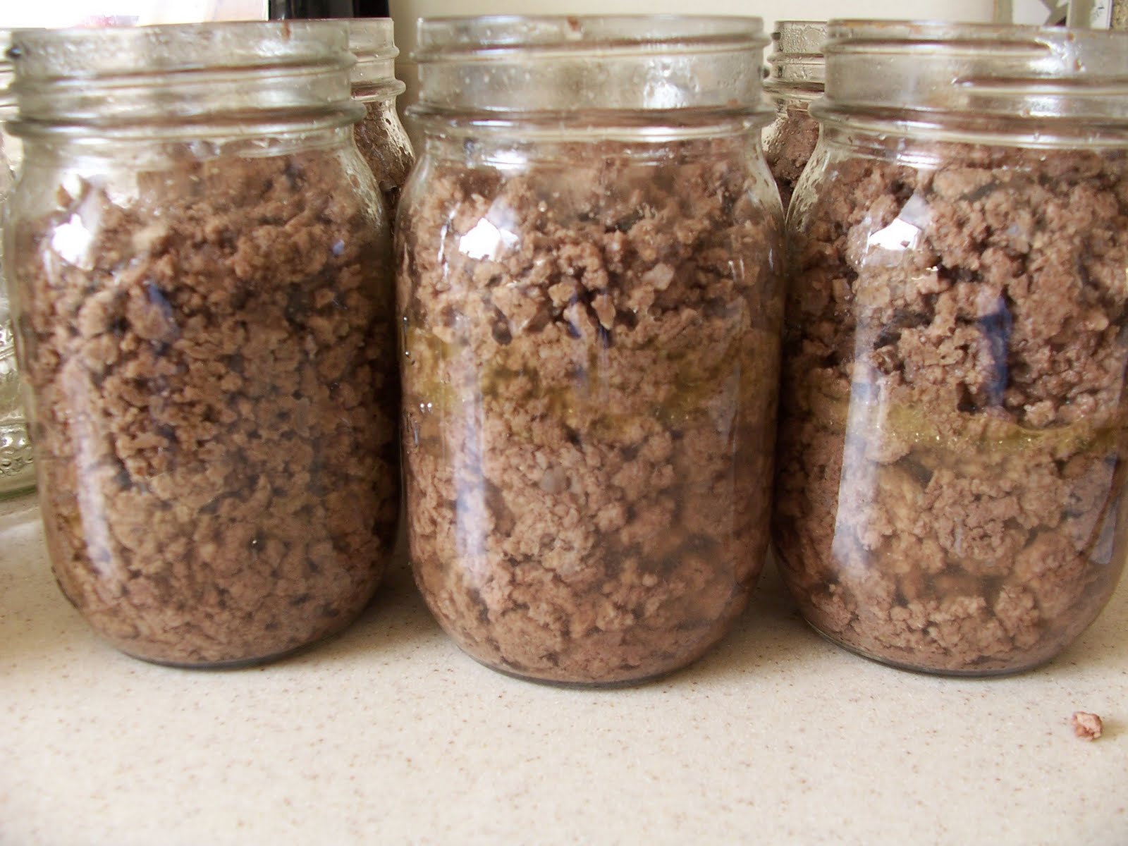 Disasters Canning Ground Beef