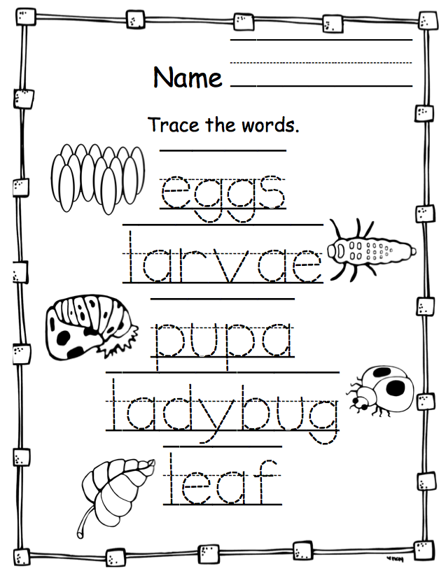 Ladybug Life Cycle Printable ~ Preschool Printables