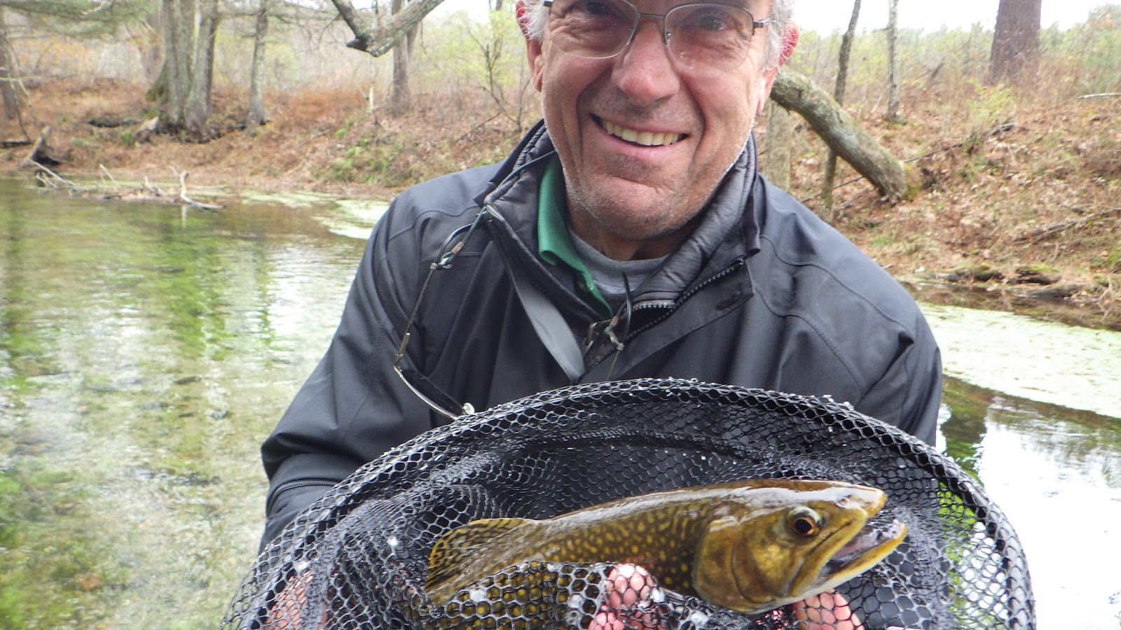 to the Millers River Fly Fishing Forum Big Brookies, A Change