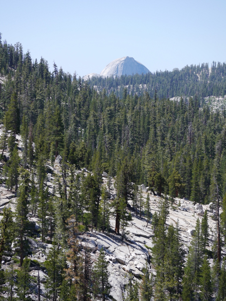 Yosemite National Park Tioga Pass Road le dôme