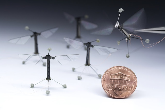 Meet The World's Smallest Flying Robot: The RoboBee