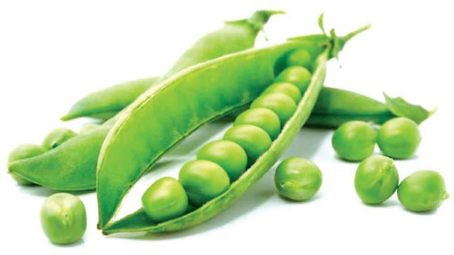 10 Khasiat dan Manfaat Kacang Polong yang Mengejutkan 10 Khasiat dan Manfaat Kacang Polong yang Mengejutkan
