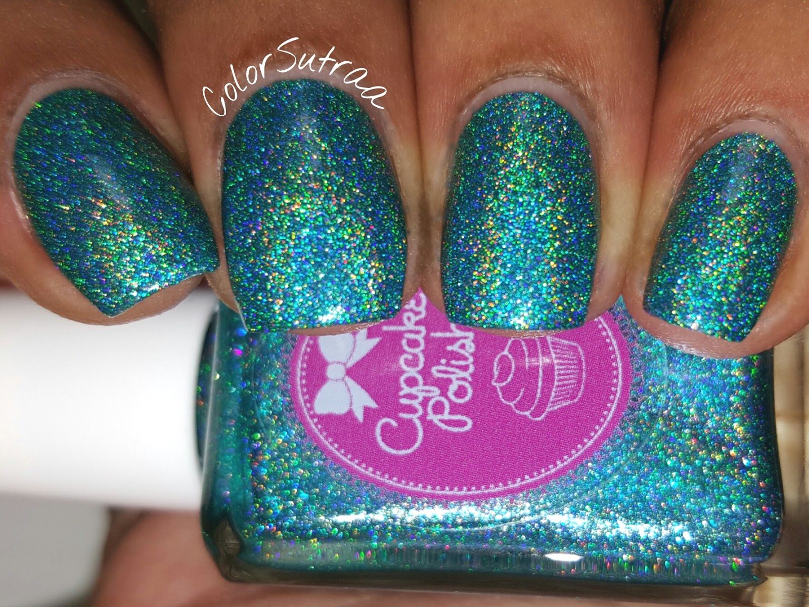 Holo hookup august 2016
