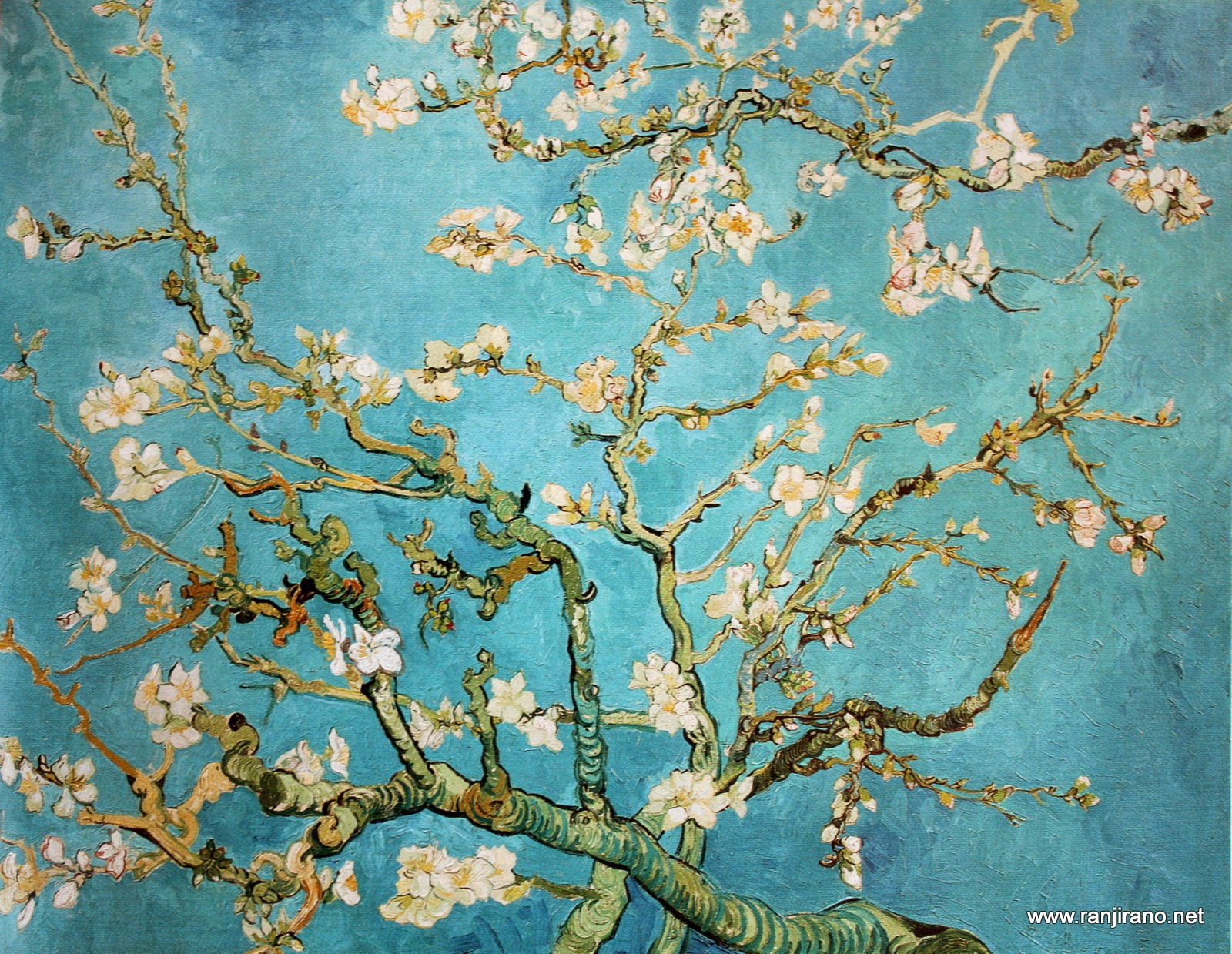 Des tournesols et un peintre [Van Gogh] Paysages et Fleurs au fil de l