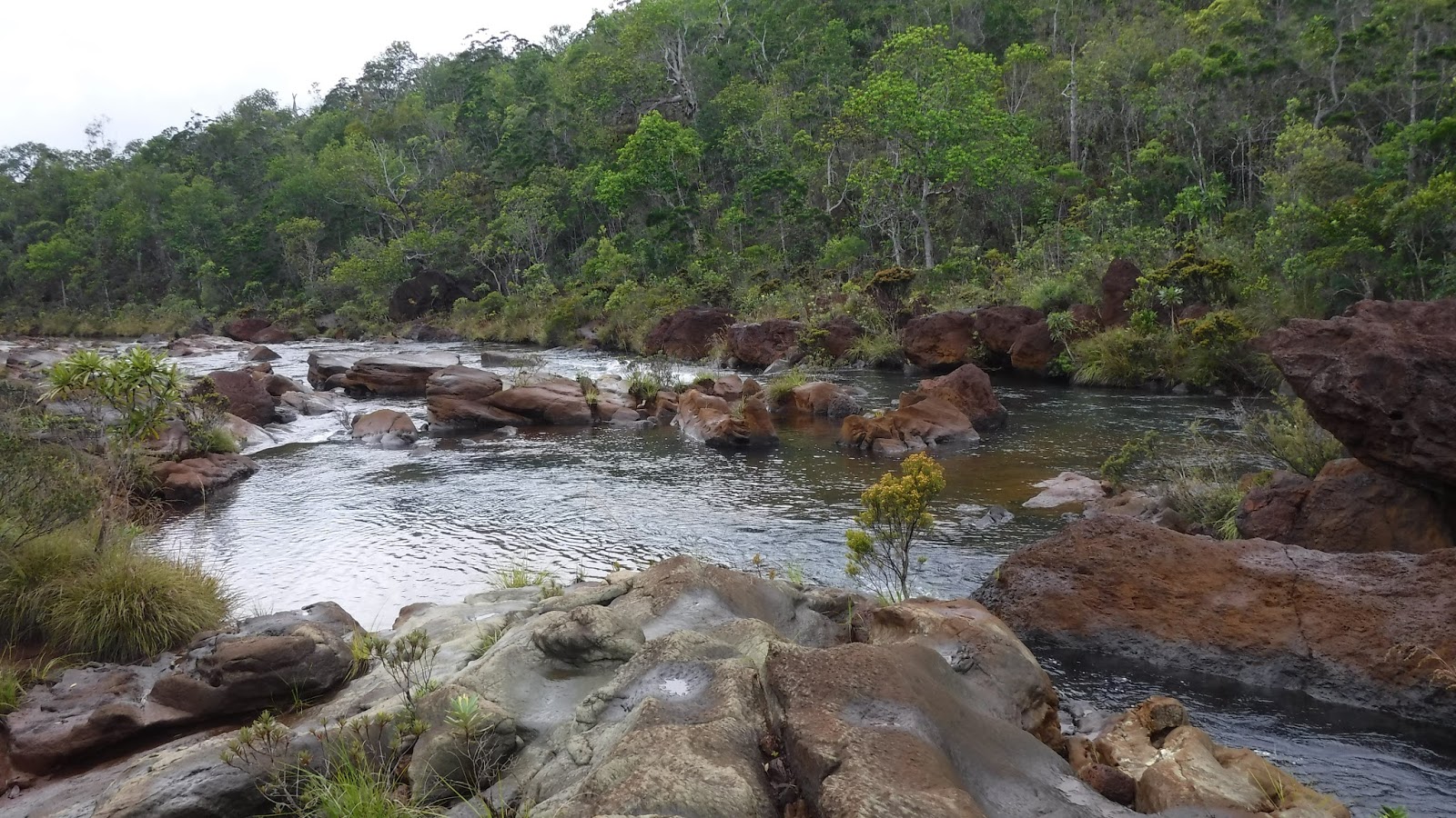 Billebaude et crapahut en NouvelleCalédonie Petite rivière bleue de Prony