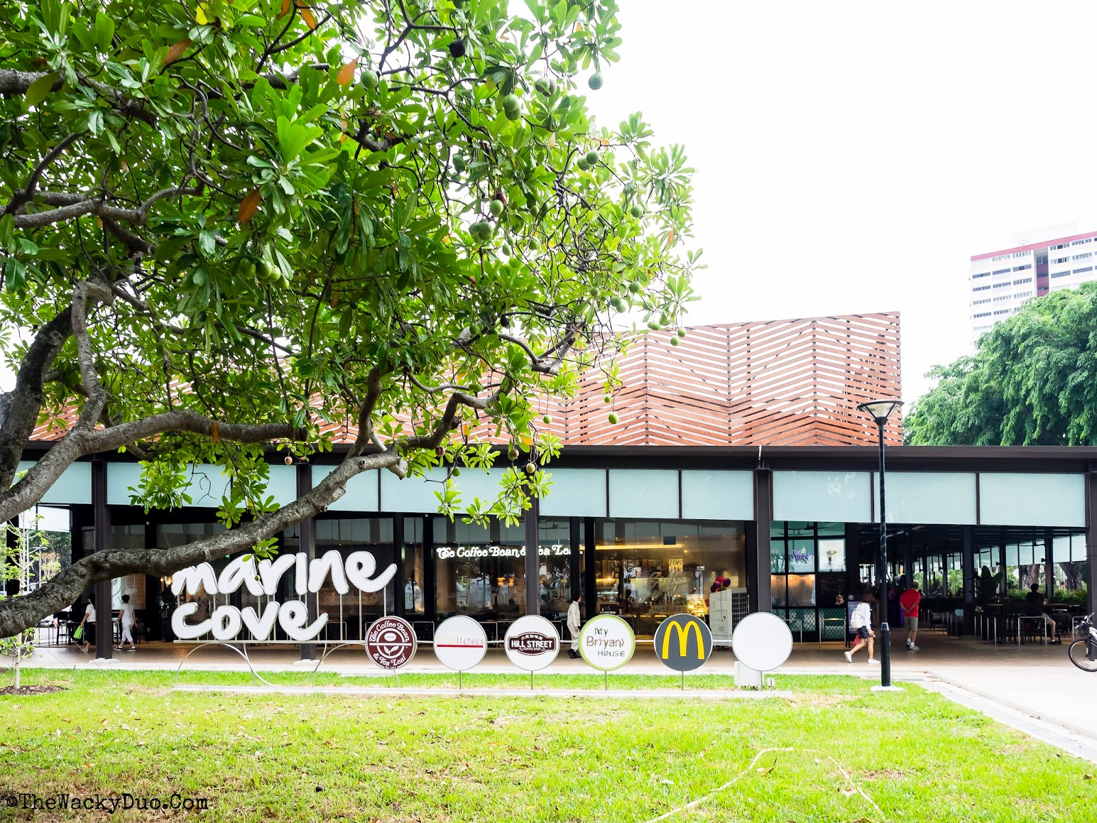 NEW Marine Cove East Coast Park Playground and Restaurants Guide