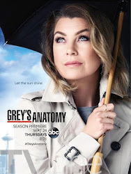 Ver serie Greys Anatomy online