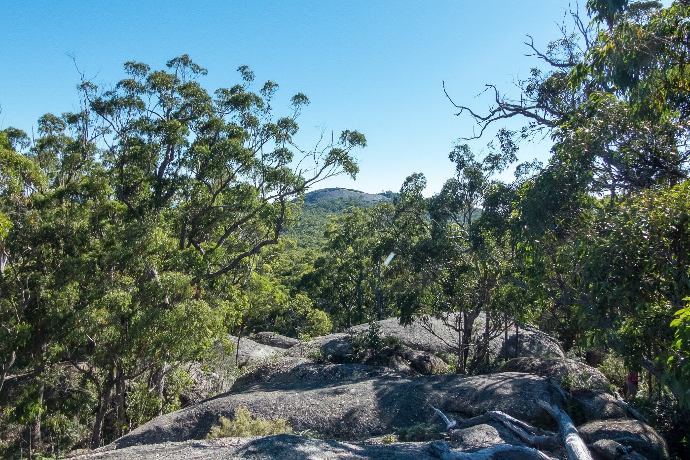 National Park Odyssey The Rockface Walk and the Little Bald Rock Walk