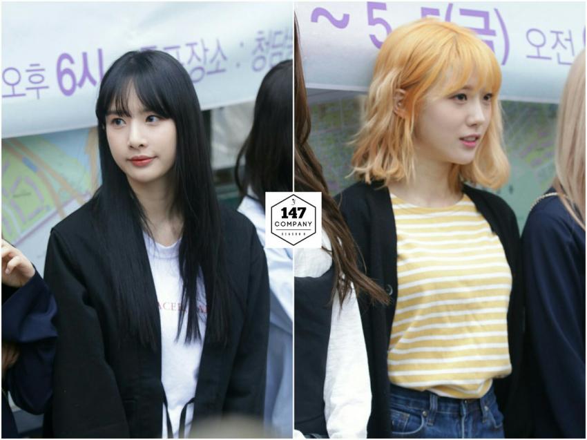 오늘자 청담동사전투표소 우주소녀.jpg | 인스티즈