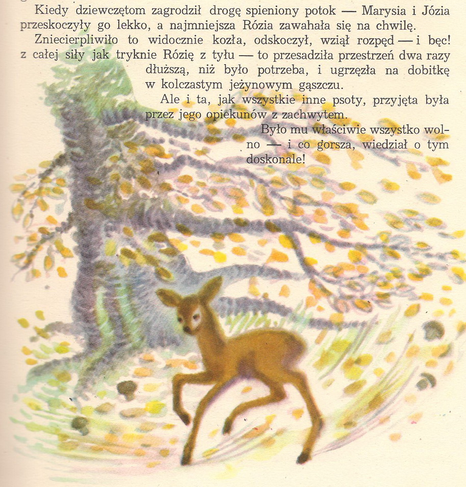 Garaż ilustracji książkowych: Rogaś z doliny Roztoki - Witold Chomicz - 1