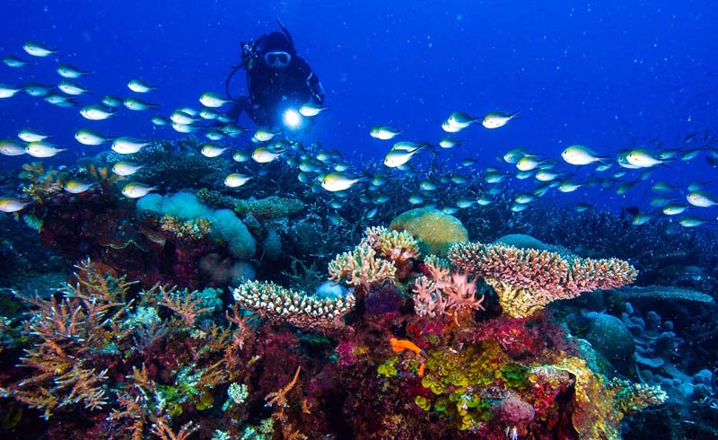 Quirimbas Archipelago, Mozambique