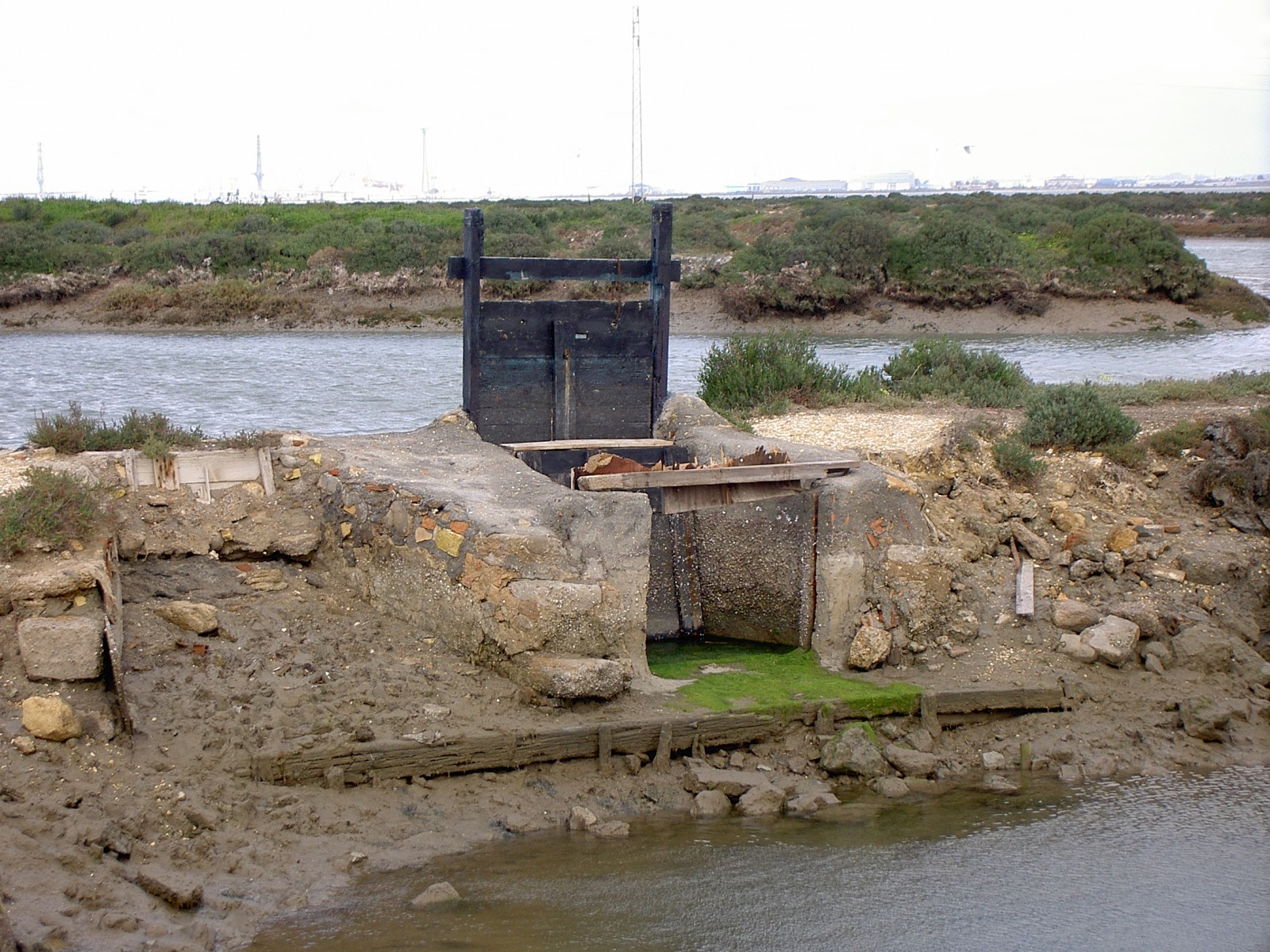ora-mar-tima-costa-de-c-diz-molino-de-san-jos-y-m-s