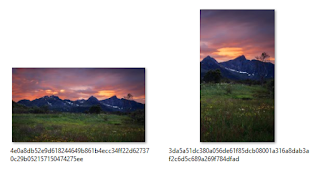 Horizontal and vertical versions of Windows Spotlight images
