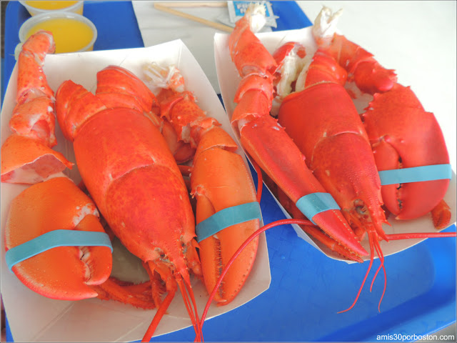 Langostas de Markey's Lobster Pool, New Hampshire