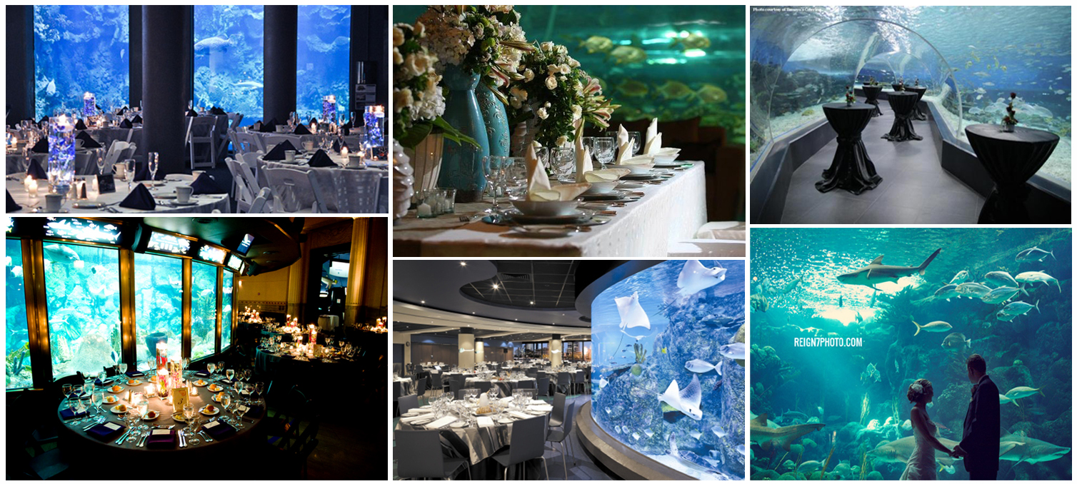 Always The Bridesmaid 5 Unique Wedding Venues Top L R Pittsburgh Zoo Aquarium The Batis Brook At Manila Ocean Park Buhay Na Karagatan Live Tail Table Setup