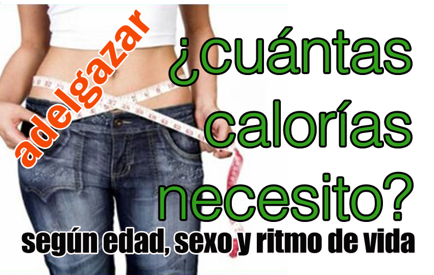 Cuantas calorias comer para adelgazar Cuantas calorias comer para adelgazar