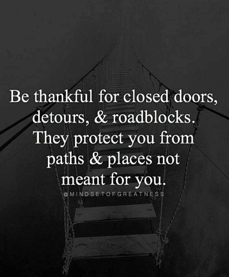 They protect. Termite colony. American motivation. Why plants are important. They protect.