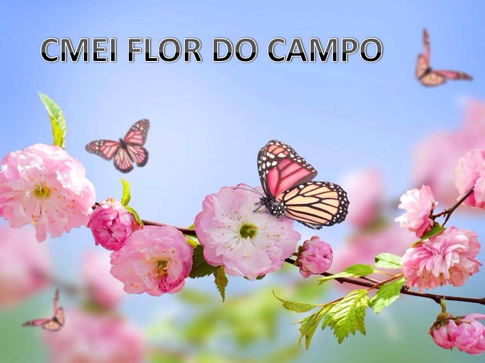 CMEI FLOR DO CAMPO