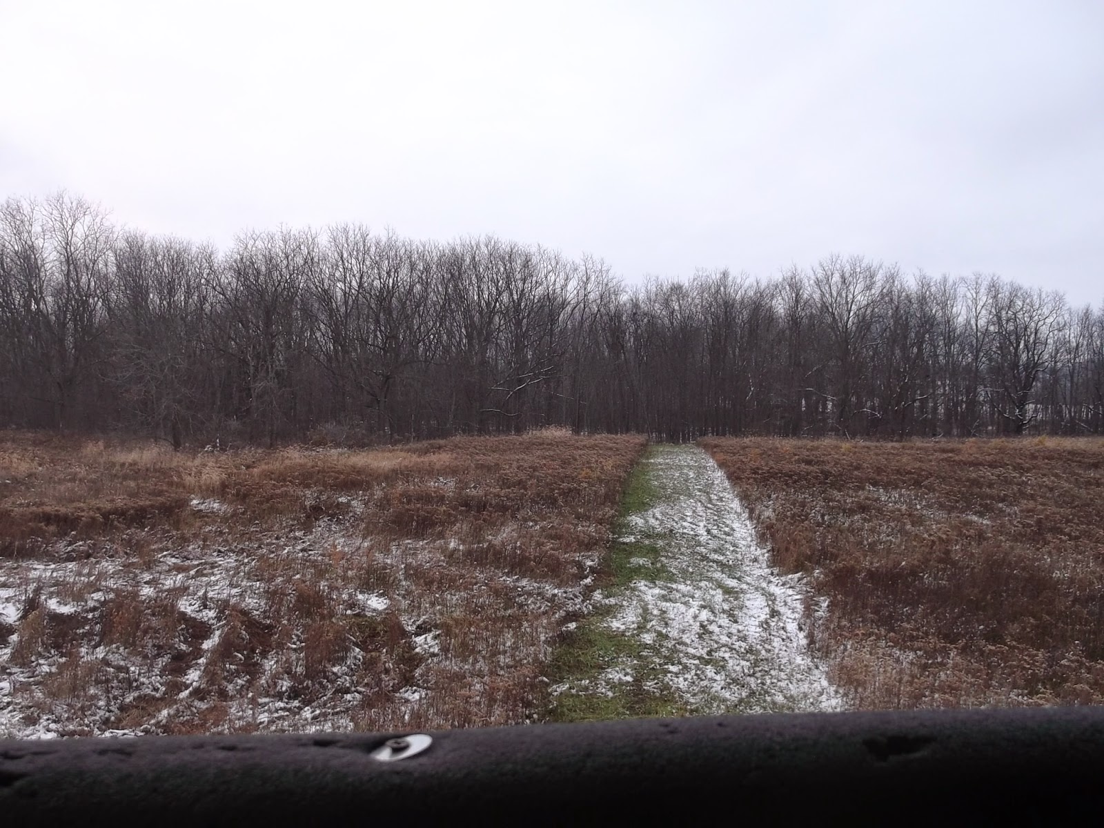 Eaton Rapids Joe View from the Deer Stand